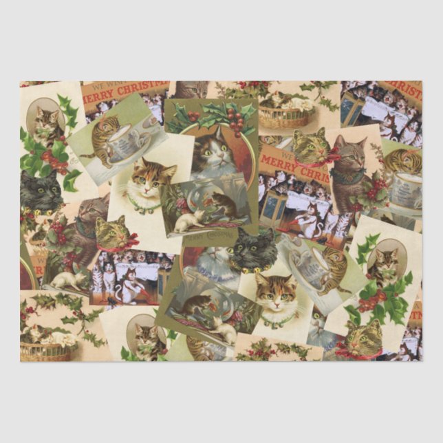 Papier Mousseline Chats vintages (Recto)