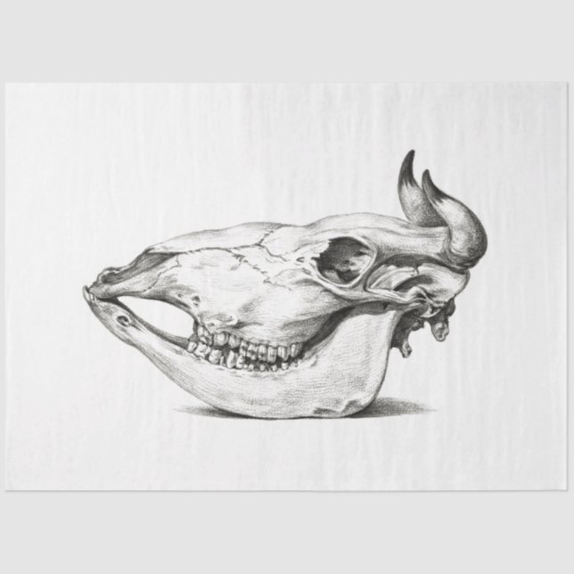 Papier Mousseline Chauve-vache Side Decoupage Ferme Vintage (Recto)