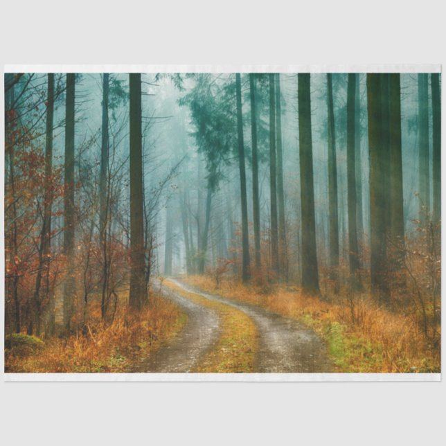 Papier Mousseline Chemin forestier Automne 13 Découpage Papier papie (Recto)