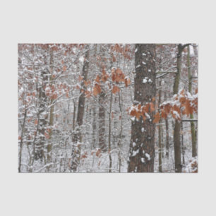 Papier Mousseline Chênes couverts de neige hiver Photographie de la