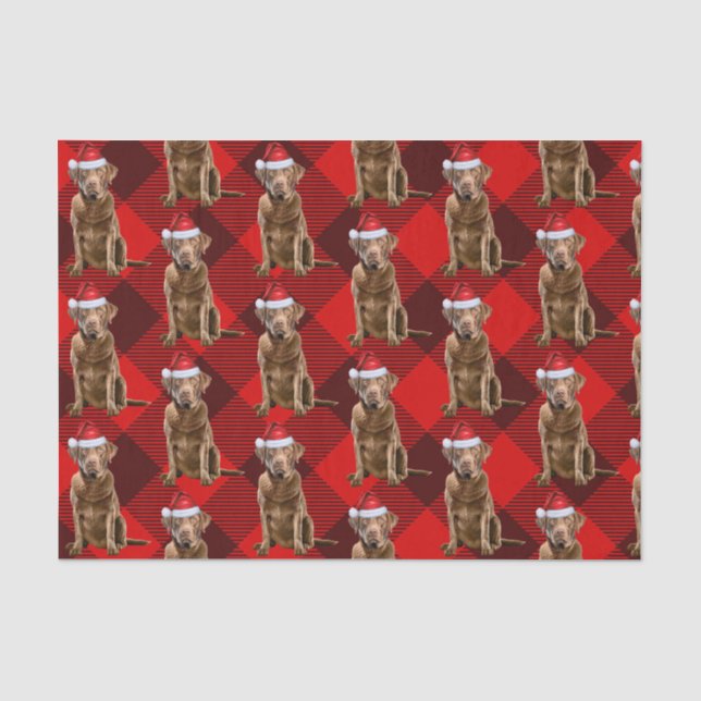 Papier Mousseline Chesapeake Bay Retriever Chien Noël (Recto)