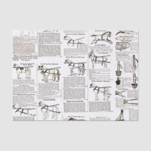 Papier Mousseline Cheval Antique Publicité Journal Art
