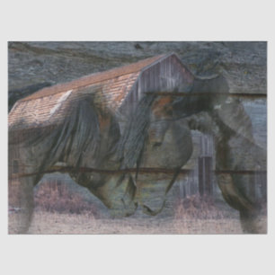 Papier Mousseline Cheval Barn Spirit