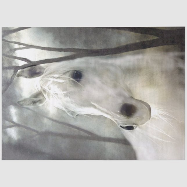 Papier Mousseline Cheval blanc (Recto)