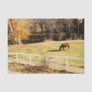 Papier Mousseline Cheval Country Rustic Autumn Decoupage