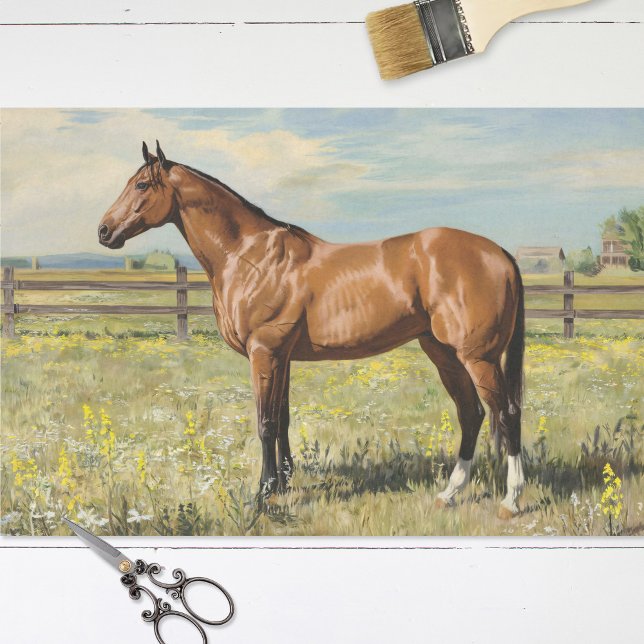 Papier Mousseline Cheval de Baie dans un pâturage Peinture Découpage (Créateur téléchargé)