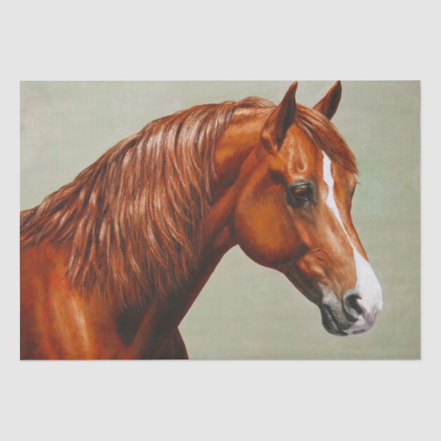 Papier Mousseline Cheval de châtaignes Morgan (Recto)