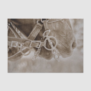 Papier Mousseline Cheval de la Sepia Vintage Russe