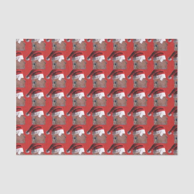 Papier Mousseline Cheval de Noël du Père Noël (Recto)