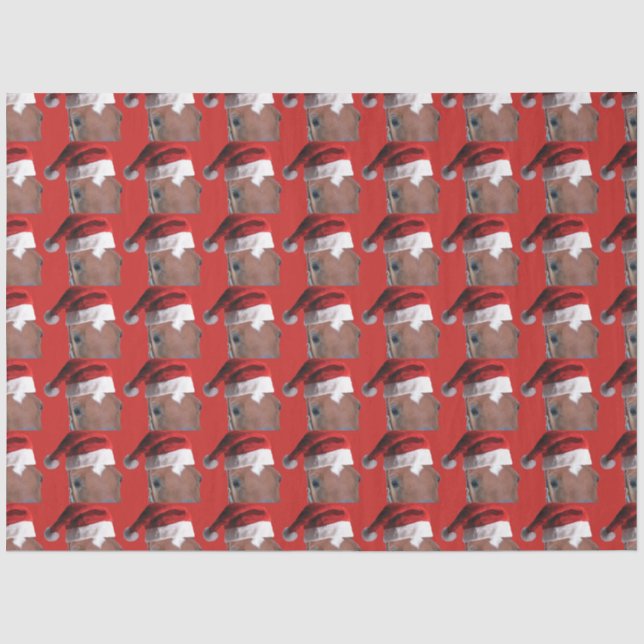 Papier Mousseline Cheval de Noël du Père Noël (Recto)