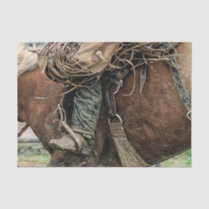 Papier Mousseline Cheval équitation Western Rodeo Cowboy