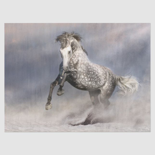 Papier Mousseline Cheval gris de la pomme andalouse (Recto)