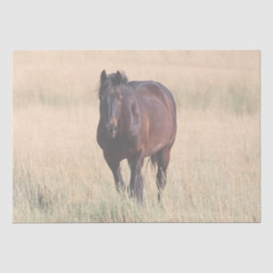Papier Mousseline Cheval Mustang sauvage de Brown Bay