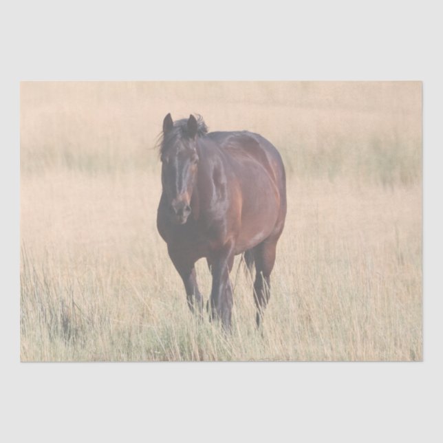 Papier Mousseline Cheval Mustang sauvage de Brown Bay (Recto)