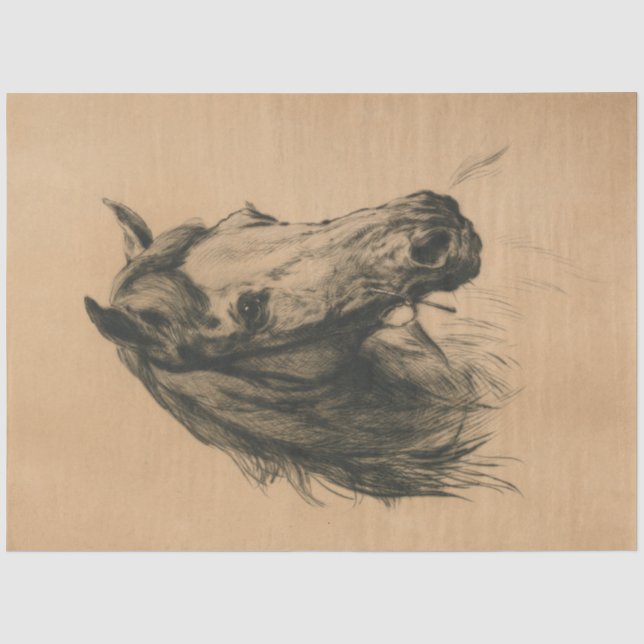 Papier Mousseline Cheval's Head (par Heywood Hardy) (Recto)