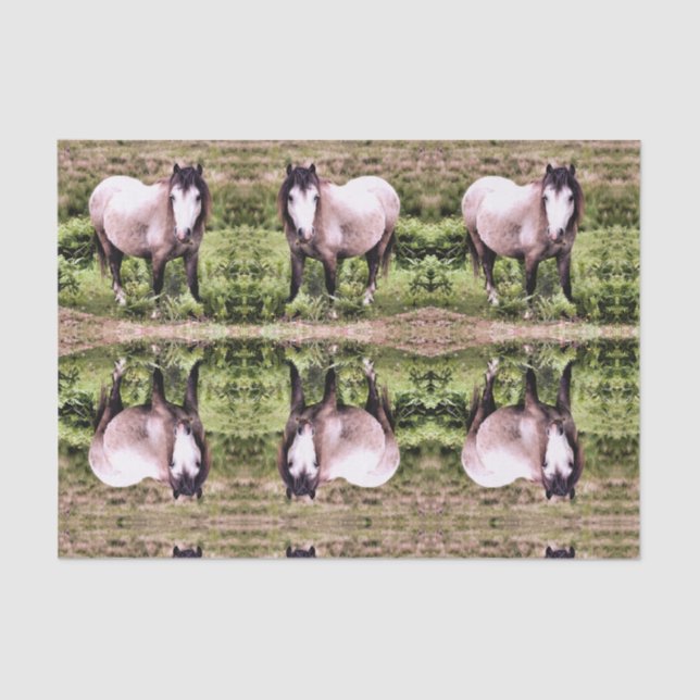 PAPIER MOUSSELINE CHEVAUX (Recto)