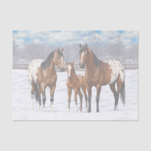 Papier Mousseline Chevaux Appaloosa De Baie Brown En Neige
