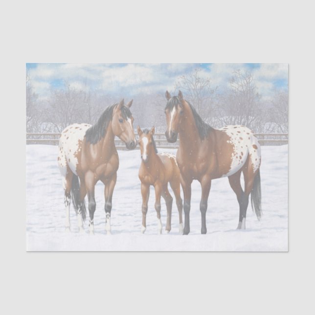 Papier Mousseline Chevaux Appaloosa De Baie Brown En Neige (Recto)