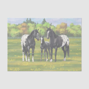 Papier Mousseline Chevaux Appaloosa Noir Dans Les Pâturages D'Été