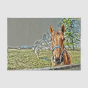 Papier Mousseline Chevaux Campagne Rustique Occidentale Ferme Découp