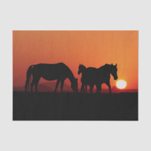 Papier Mousseline Chevaux Cowboy Occidental Coucher de soleil 15 Déc