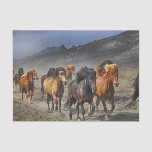 Papier Mousseline Chevaux dans un tir (Recto)