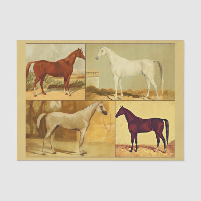 Papier Mousseline Chevaux d'Arabie vintage - collage (Recto)