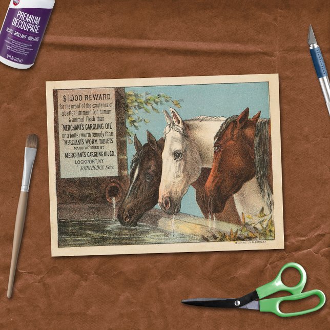Papier Mousseline Chevaux de ferme Ephémère de la publicité de l'eau (Créateur téléchargé)