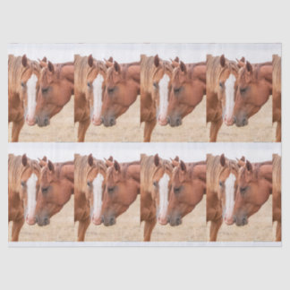 Papier Mousseline Chevaux étourdissant dans un pâturage