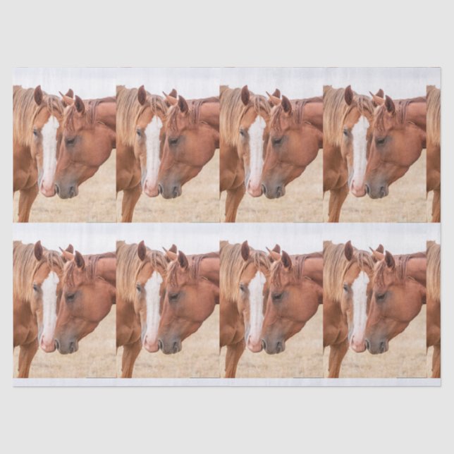 Papier Mousseline Chevaux étourdissant dans un pâturage (Recto)