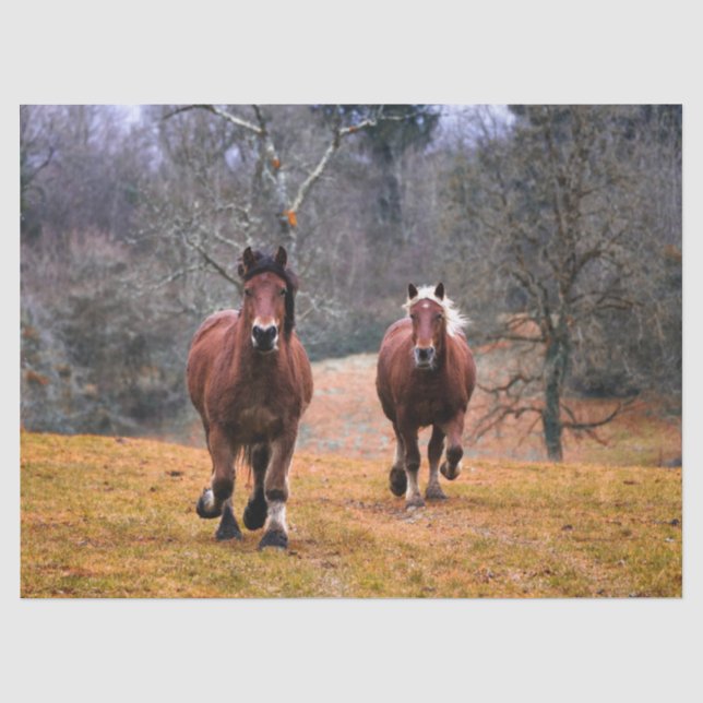 Papier Mousseline Chevaux Galloping Decoupage papier Tissu (Recto)