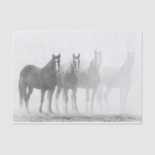 Papier Mousseline Chevaux Noirs Et Blancs À L'Écart