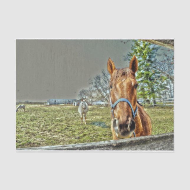 Papier Mousseline Chevaux rustiques Country Western Farm Decoupage (Recto)