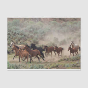 Papier Mousseline Chevaux sauvages