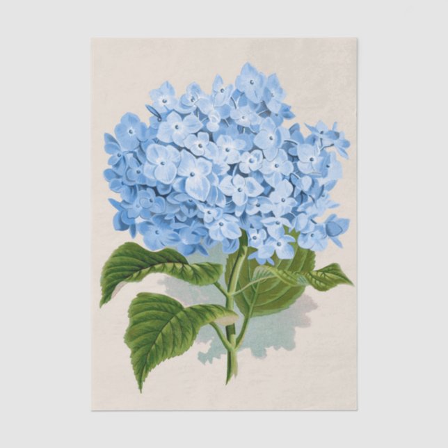 Papier Mousseline Chic Chic Pastel Sky Fleurs Bleues (Recto)