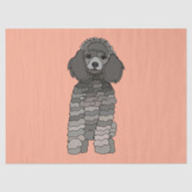 Chien Caniche Animal de Compagnie