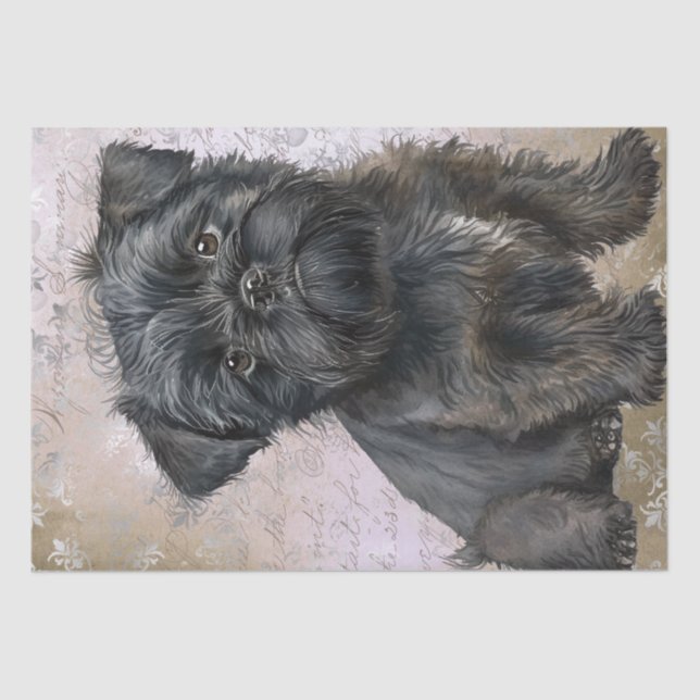 Papier Mousseline Chien chiot Affenpinscher (Recto)
