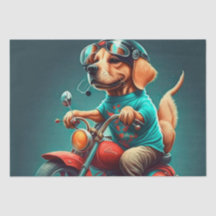 Chien cool conduisant une moto