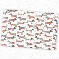 Chien de saucisse Dachshund