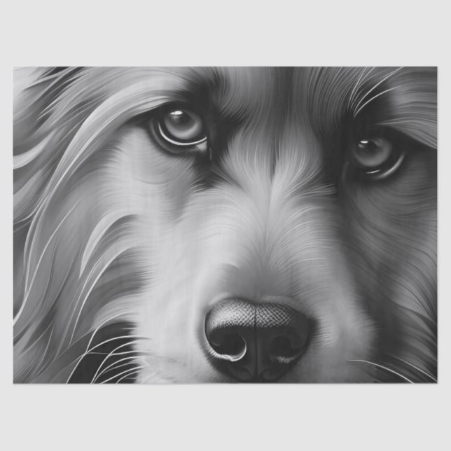 PAPIER MOUSSELINE CHIEN DE TERRIER NOIR ET BLANC (Recto)