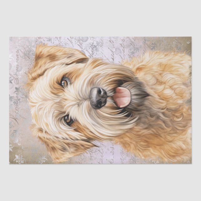 Papier Mousseline Chien de Terrier roux à couche molle (Recto)