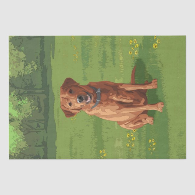 Papier Mousseline Chien du Labrador jaune rouge renard (Recto)