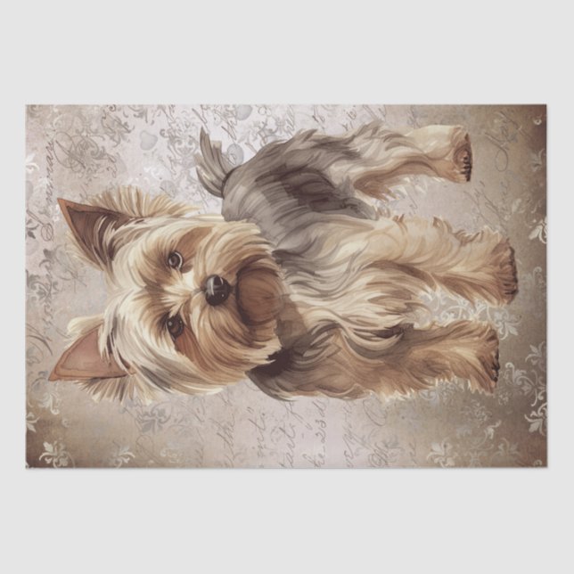 Papier Mousseline Chien du Yorkshire Terrier (Recto)
