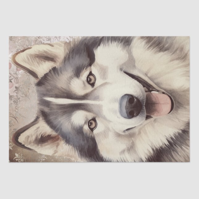 Papier Mousseline Chien malamué de l'Alaska (Recto)