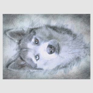 Papier Mousseline Chien sibérien Husky