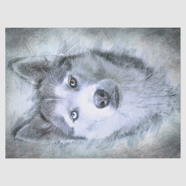 Papier Mousseline Chien sibérien Husky (Recto)