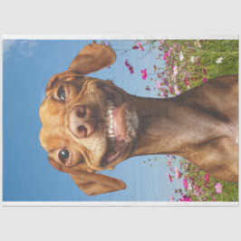 Papier Mousseline Chien souriant dans le champ de fleurs Découpage