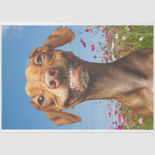 Papier Mousseline Chien souriant dans le champ de fleurs Découpage
