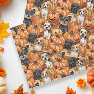 Papier Mousseline Chiens d'automne dans un patch de citrouille Hallo