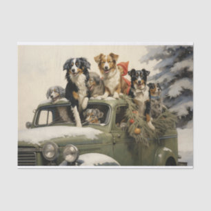 Papier Mousseline Chiens de Noël sur une voiture à l'ancienne